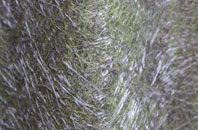 Ballingdon fibreglass roof work